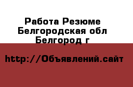 Работа Резюме. Белгородская обл.,Белгород г.